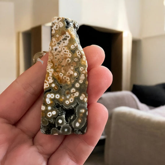 8 vein ocean jasper Freeform