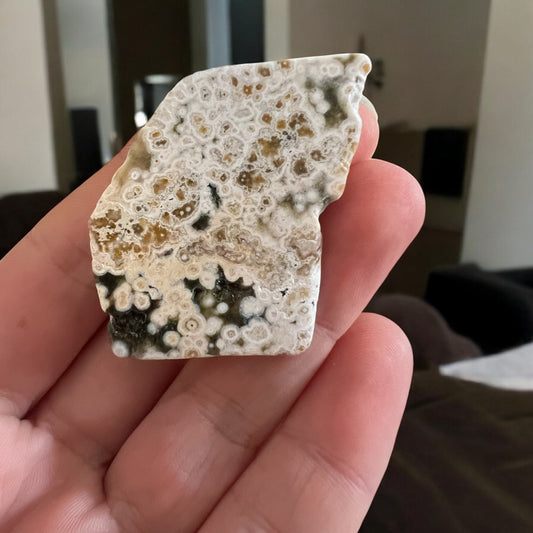 8 vein ocean jasper Freeform