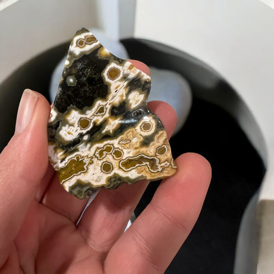 8 vein ocean jasper Freeform