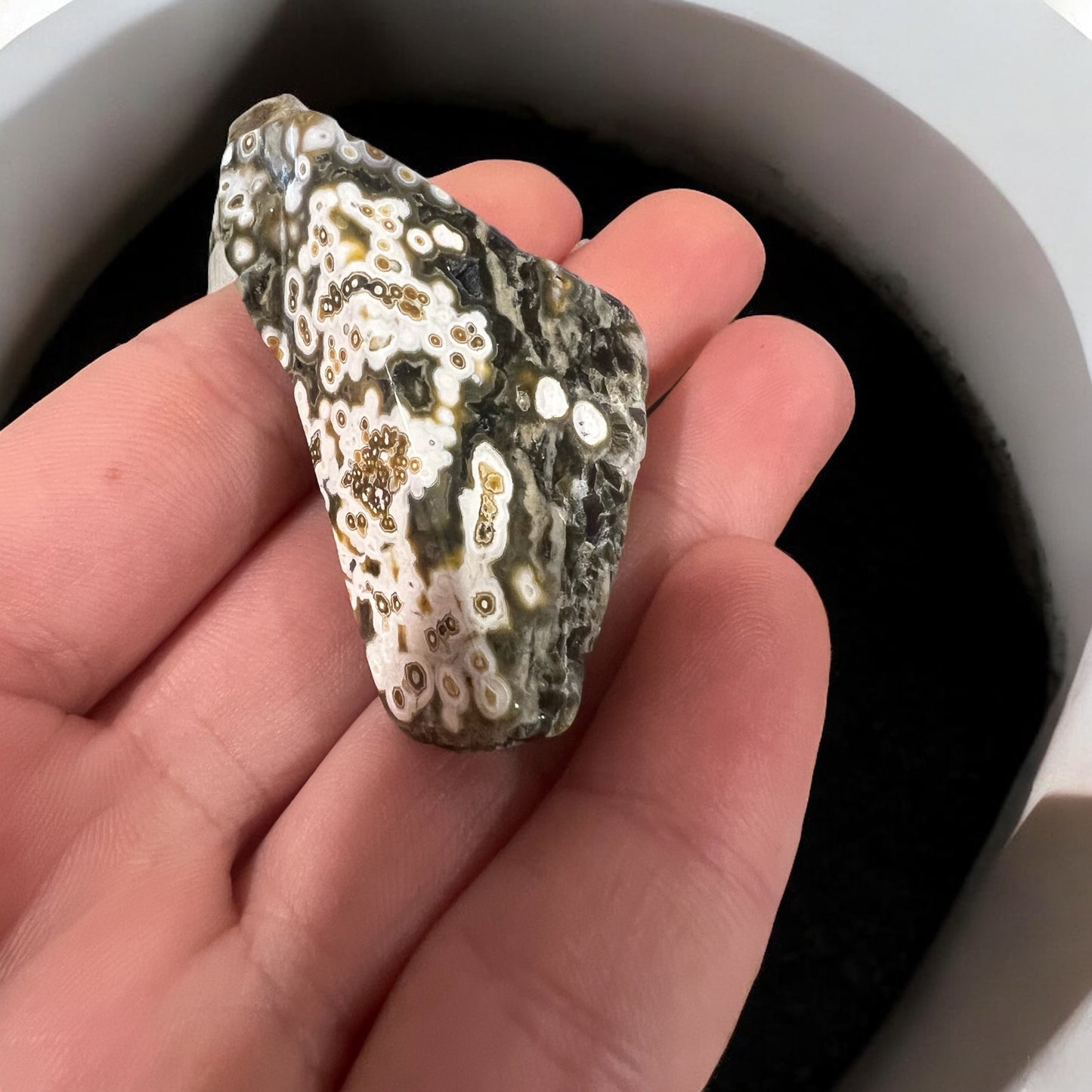 8 vein ocean jasper Freeform