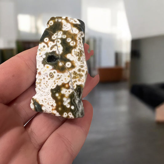 8 vein ocean jasper Freeform Chunky