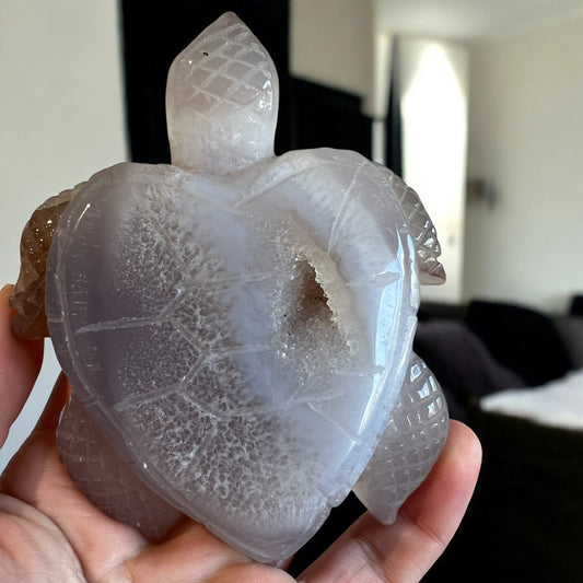 Drusy agate turtle