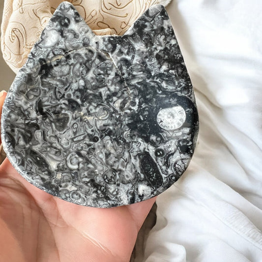 Fossil shell agate bowl