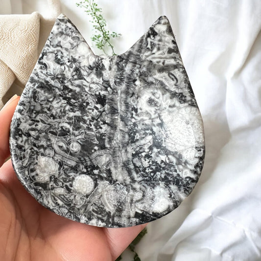 Fossil shell agate bowl