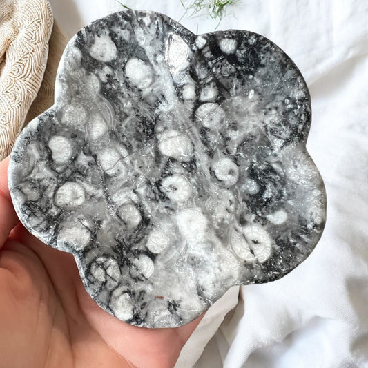 Fossil shell agate bowl