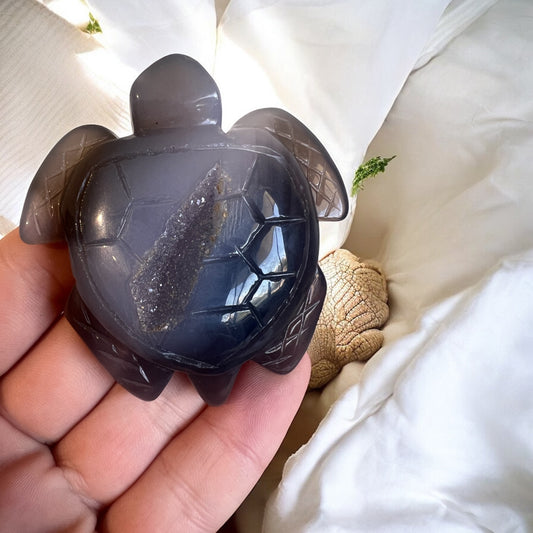 Drusy agate turtle