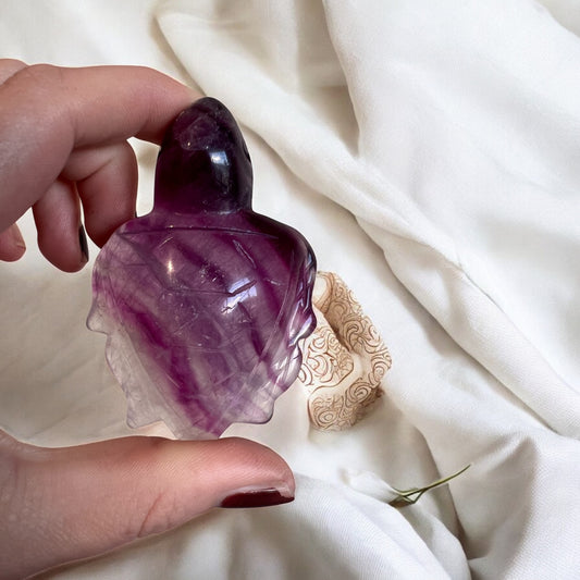 Fluorite turtle