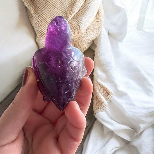 Fluorite turtle