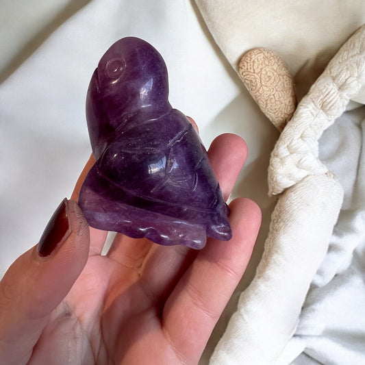 Fluorite seas turtle