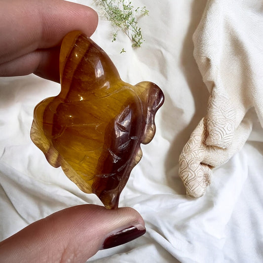 Fluorite turtle