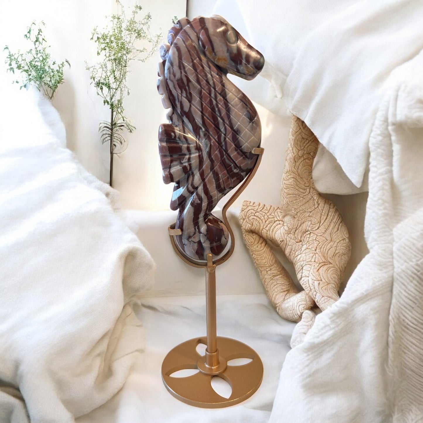 Stripped japser seahorse