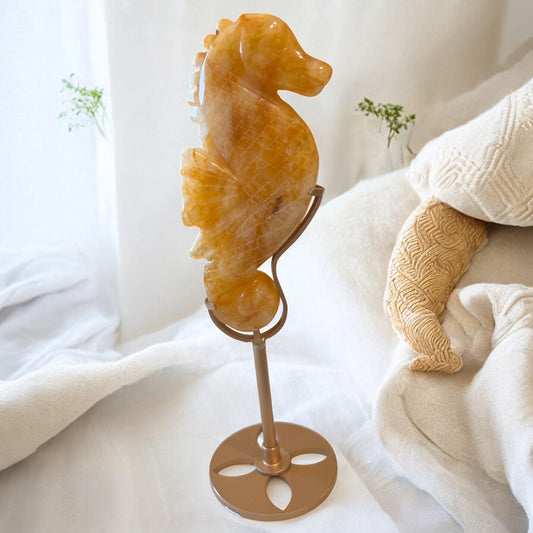 Golden healer seahorse