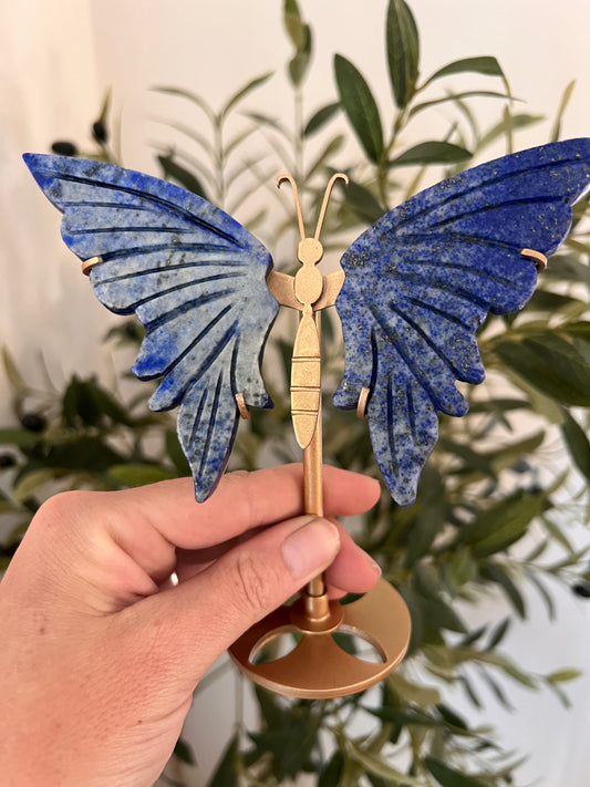Lapis butterfly wings