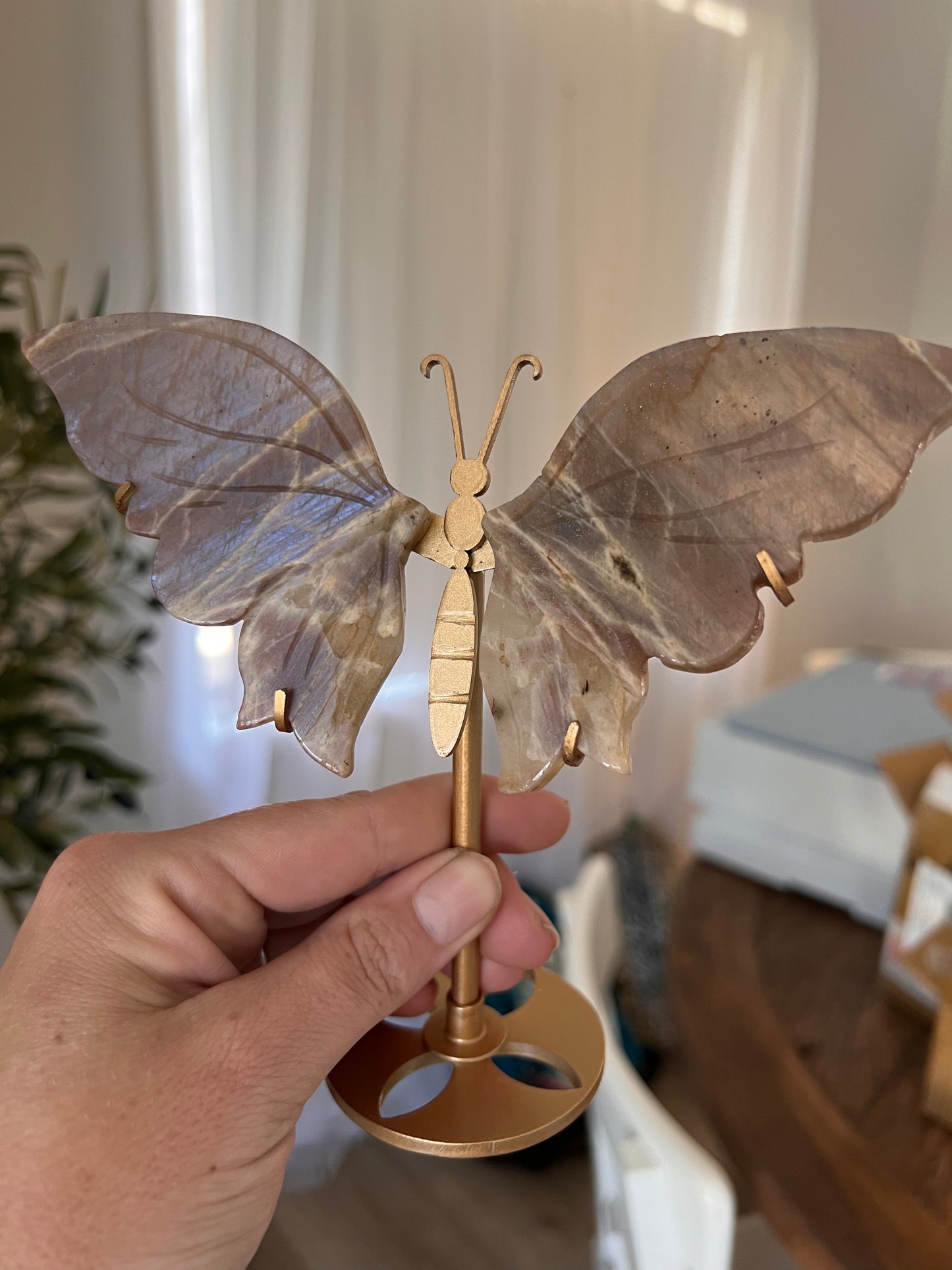 Sunstone moonstone butterfly wings