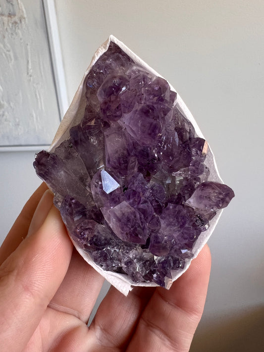 Amethyst cluster