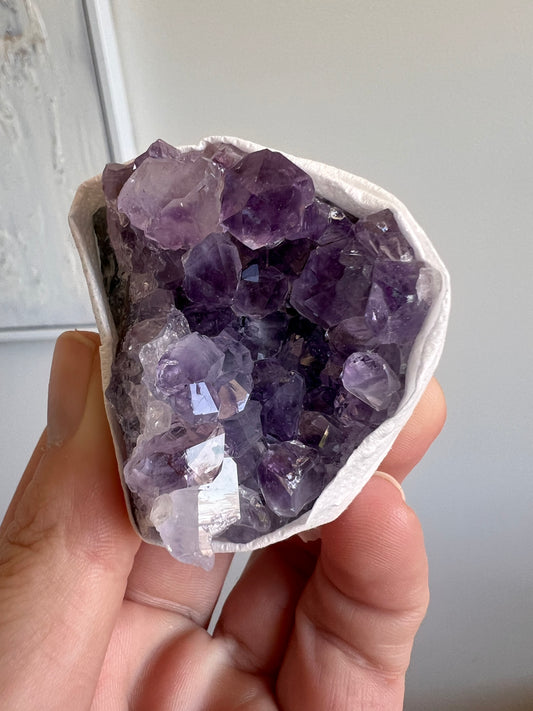 Amethyst cluster