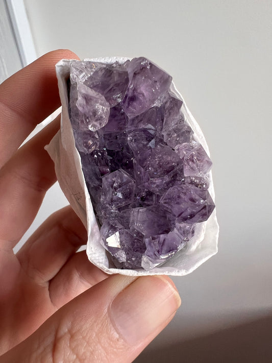 Amethyst cluster
