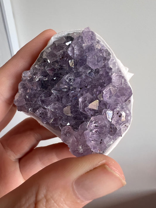 Amethyst cluster