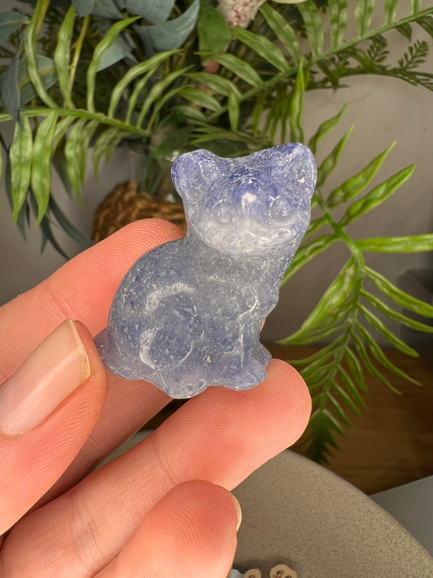 Blue adventurine cat