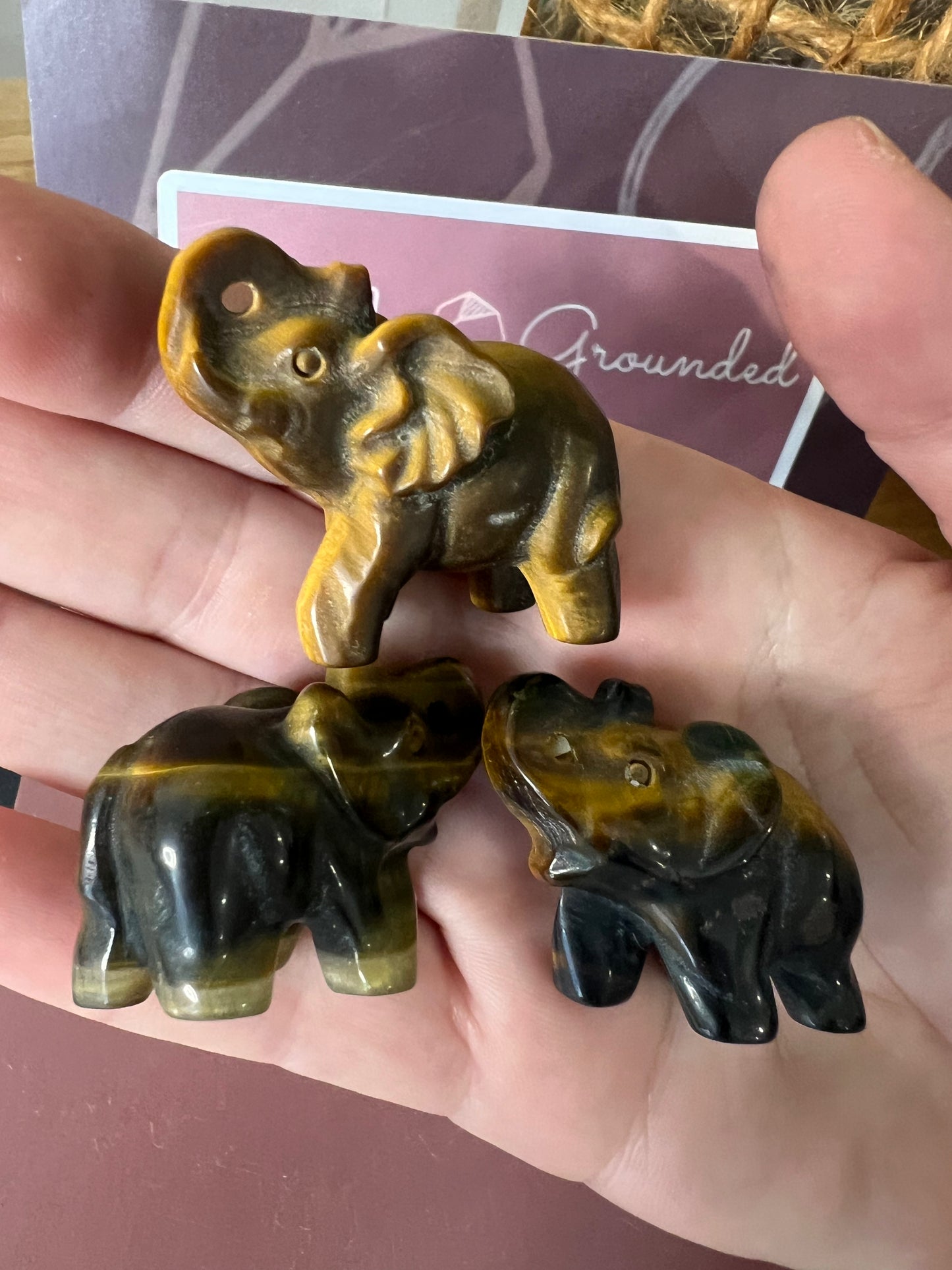 Tiger eye elephant choose your own
