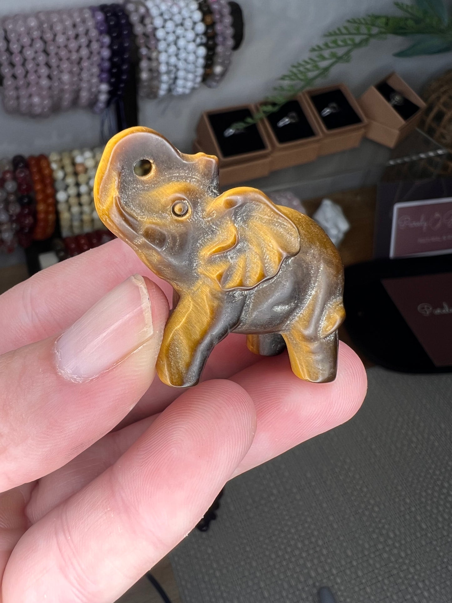 Tiger eye elephant choose your own