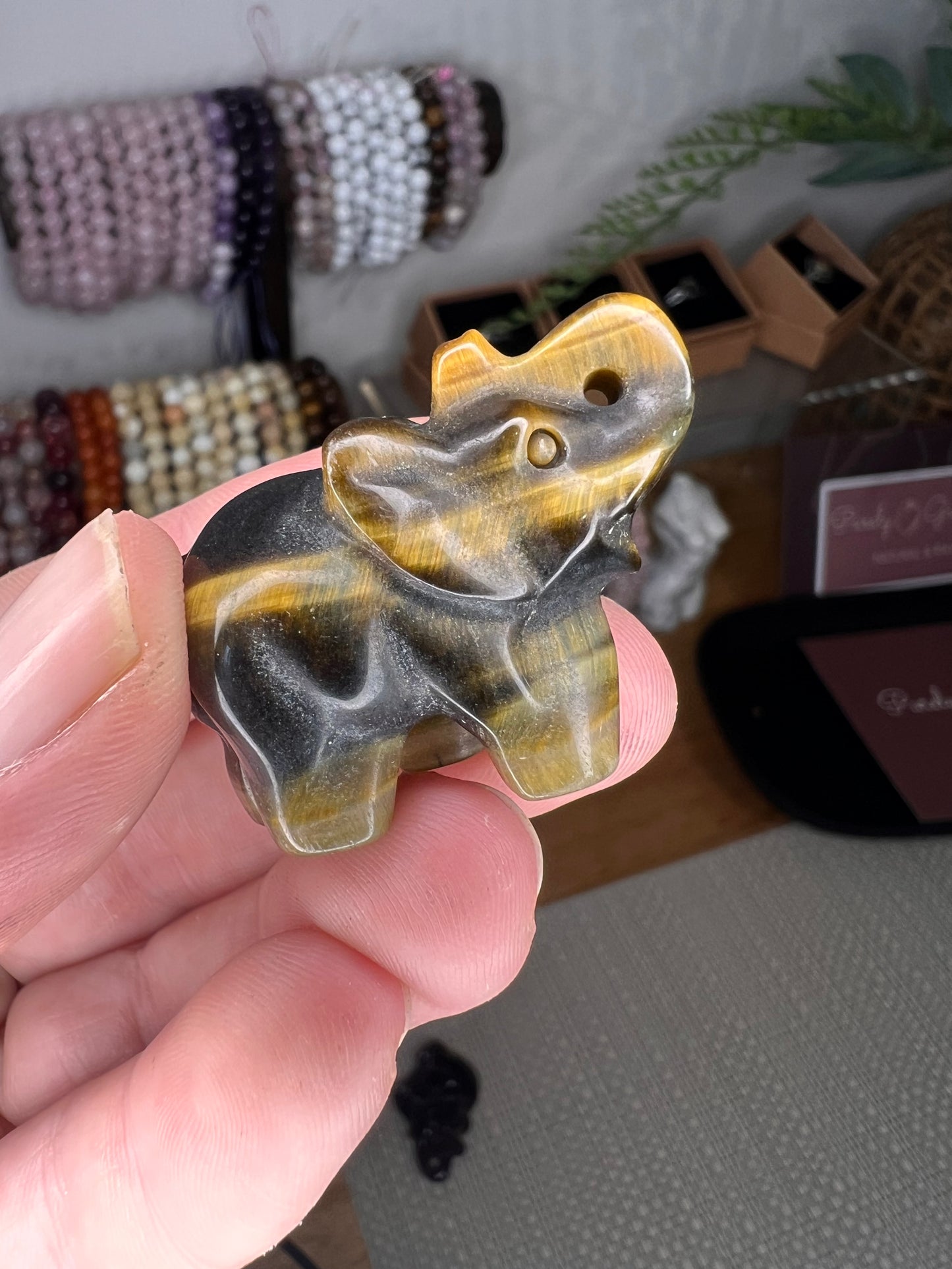 Tiger eye elephant choose your own