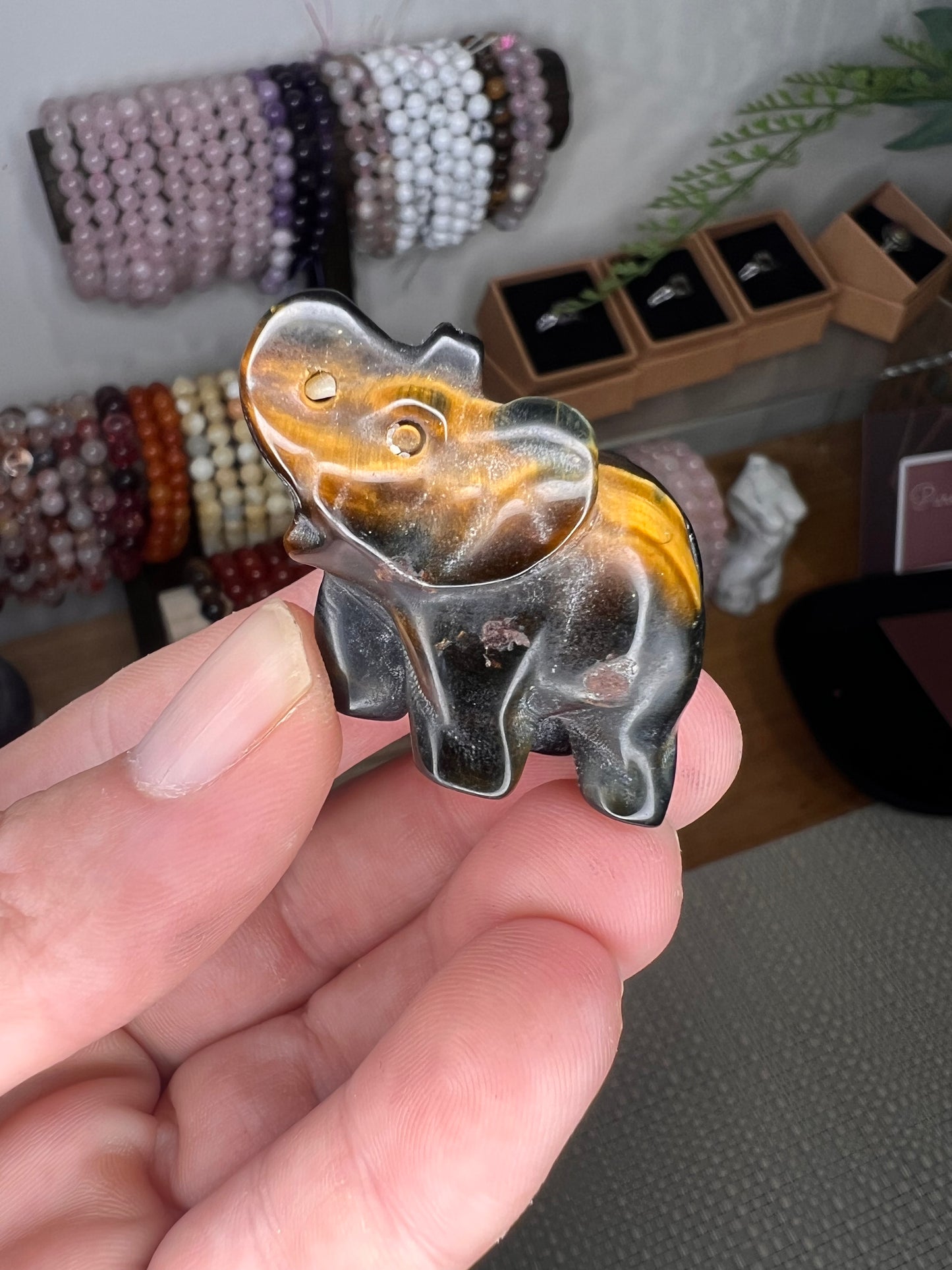 Tiger eye elephant choose your own