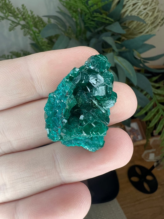 High quality dioptase specimen small