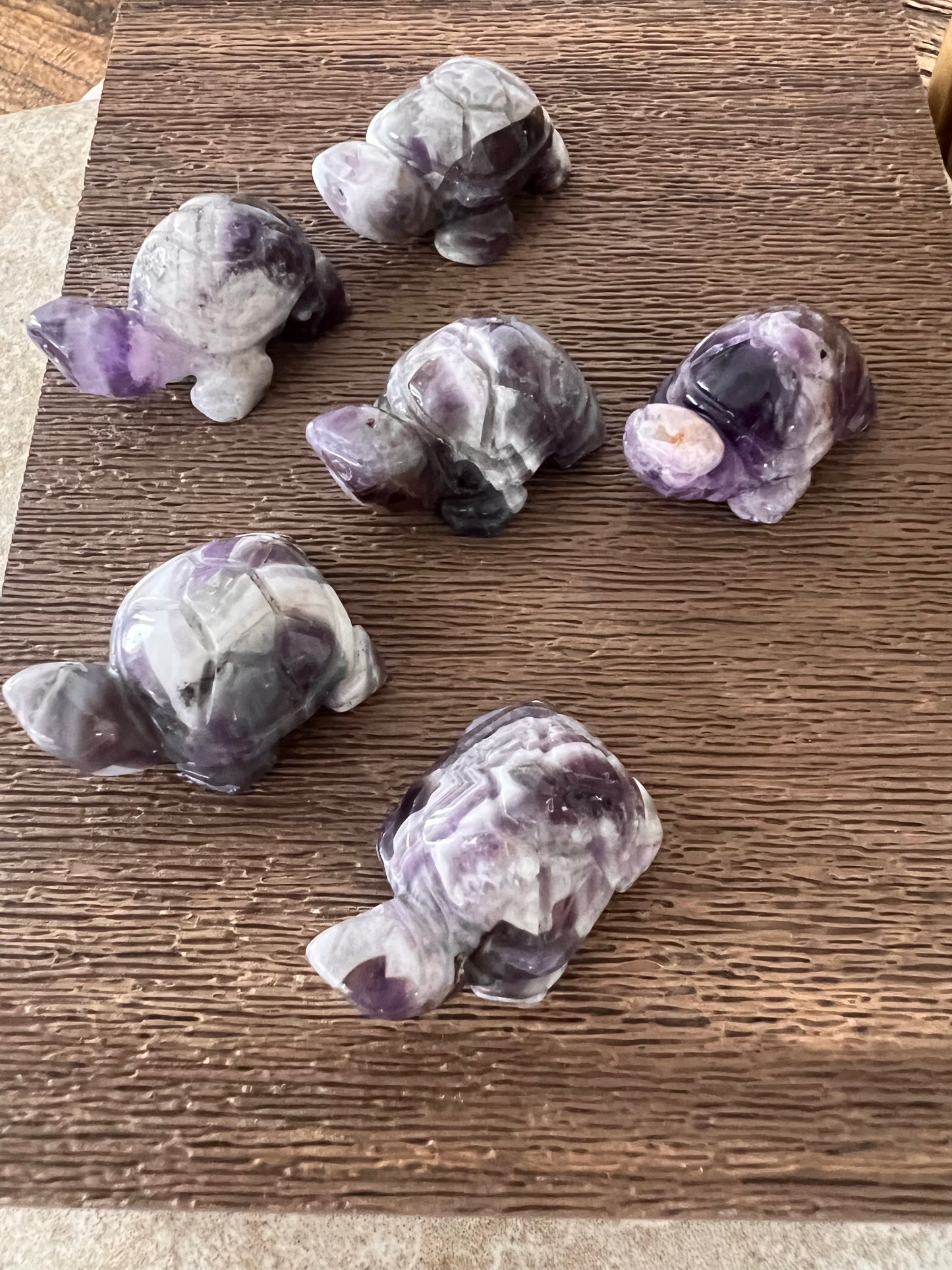 Dream amethyst turtles
