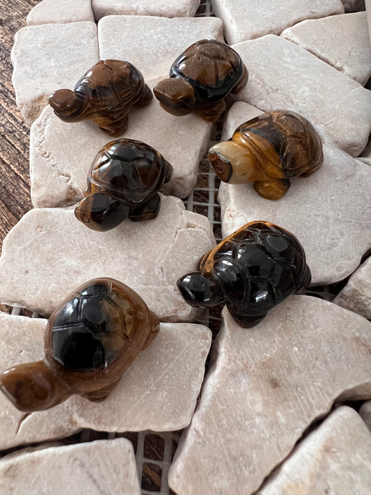 Tiger eye small turtle flashy