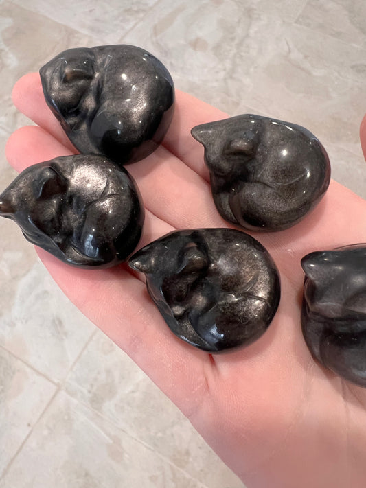 Silver shein obsidian sleeping cats