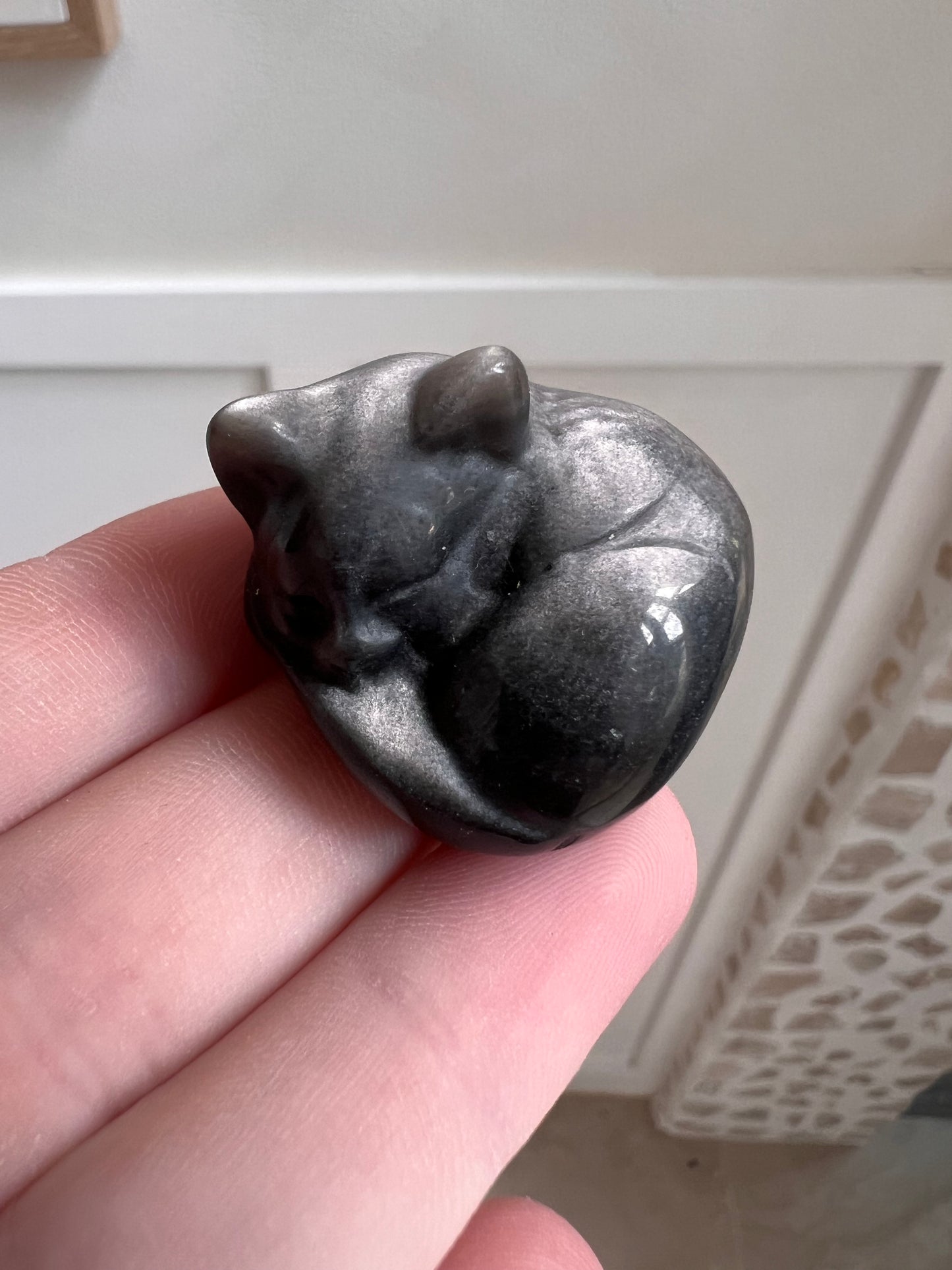Silver shein obsidian sleeping cats