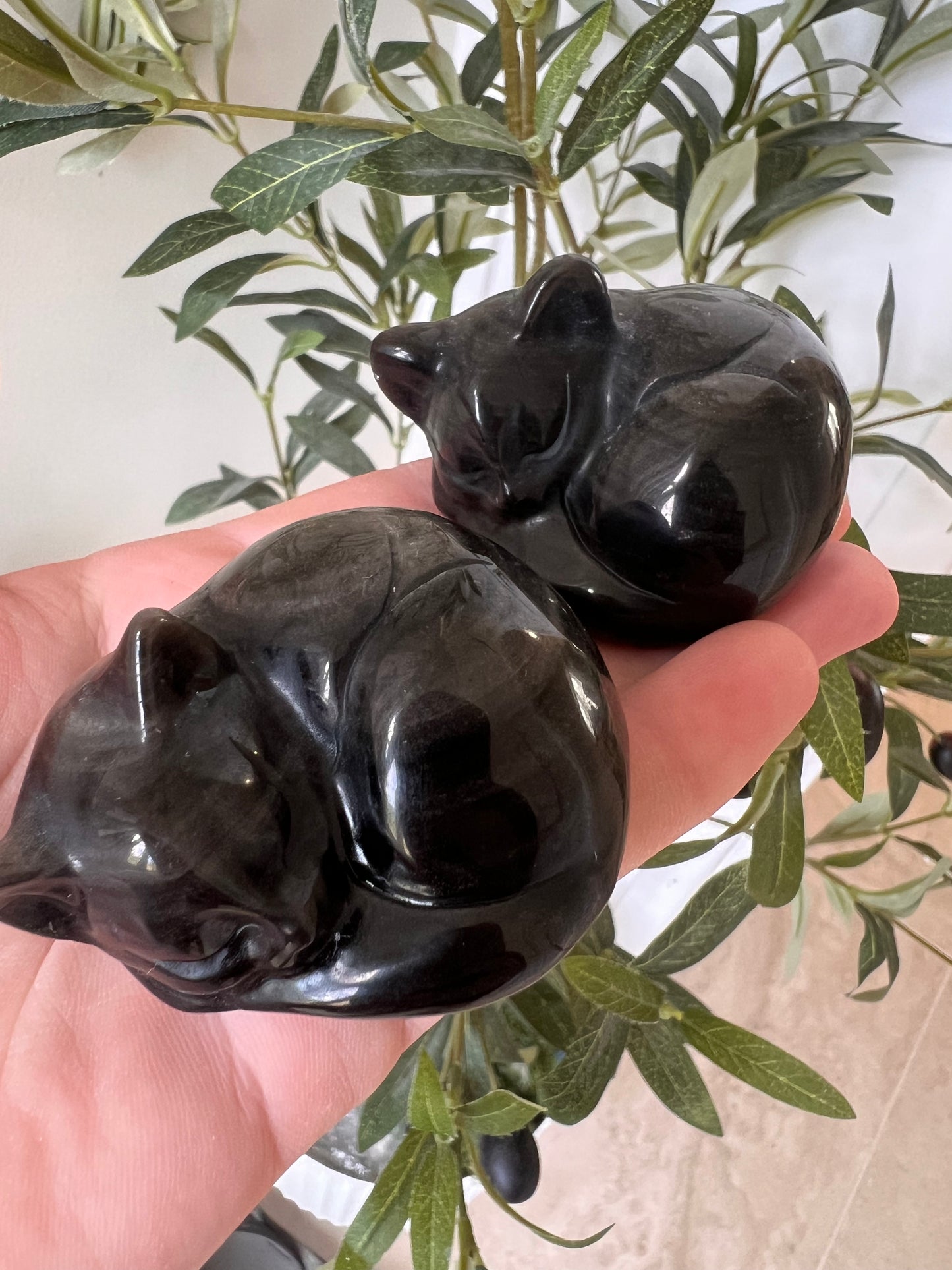 Larger silver shein obsidian sleeping cats