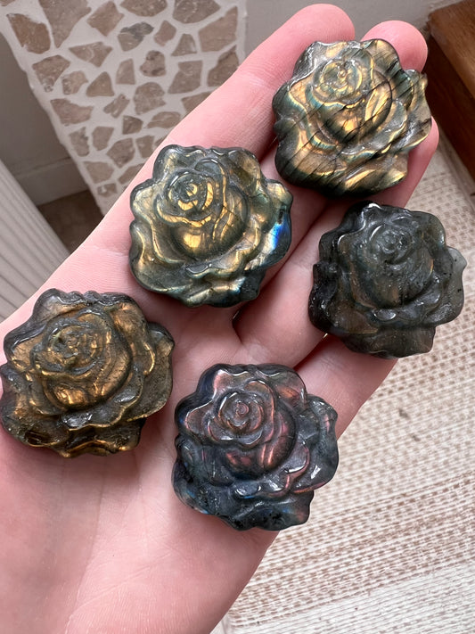 Lab lotus flower yellow orange blue flash