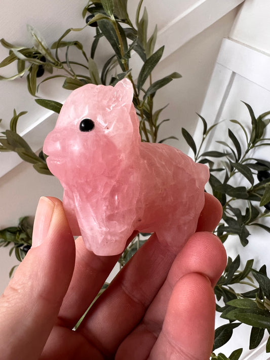 Rose quartz highland cow