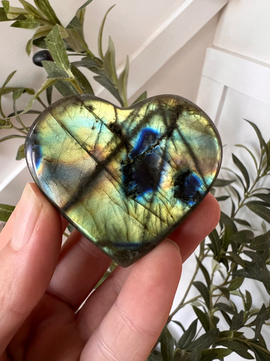 Madagascar Lab chunky heart