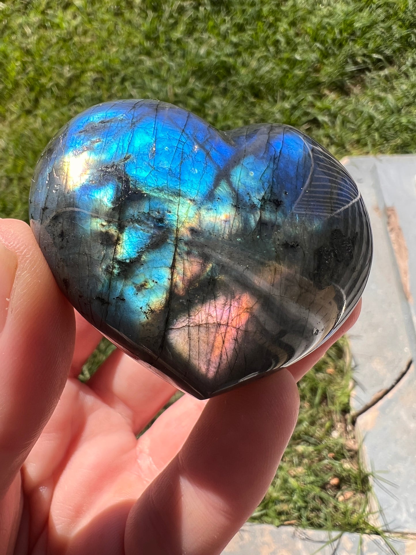 Madagascar puffy lab heart A