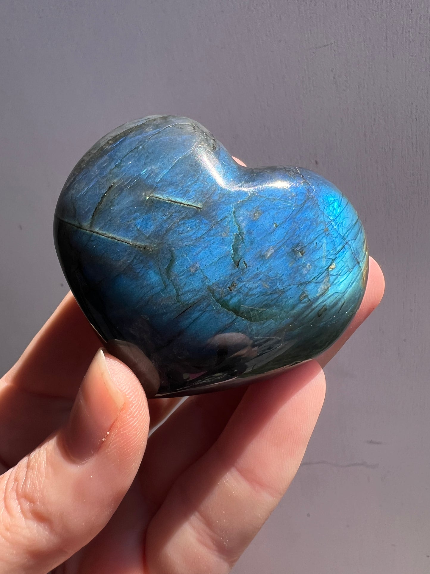 Madagascar puffy lab heart B