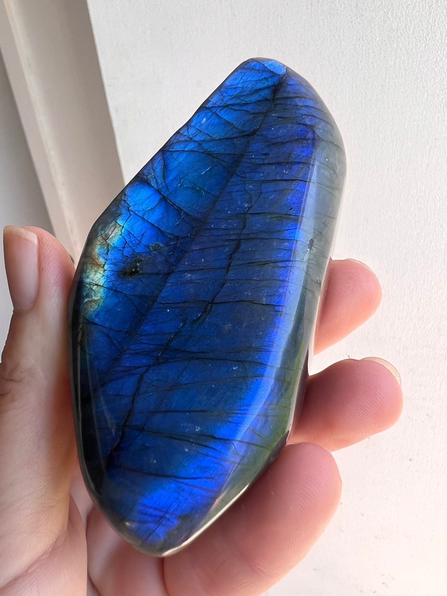 Madagascar lab Freeform 28B