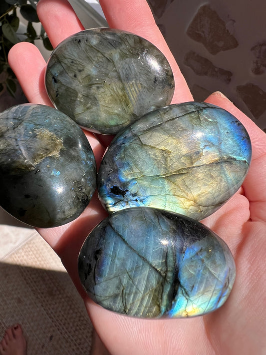 Madagascar lab palmstones