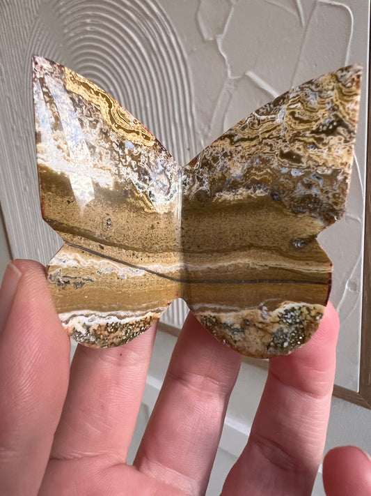 Ocean jasper 3D butterfly (Indonesia)