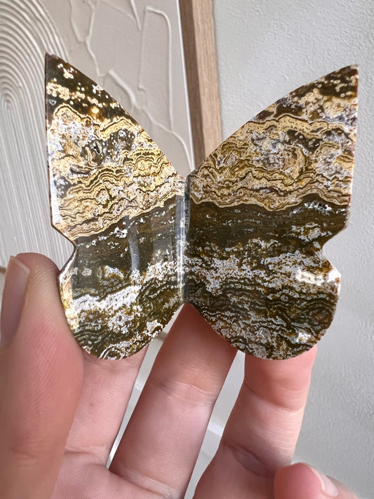 Ocean jasper 3D butterfly (Indonesia)
