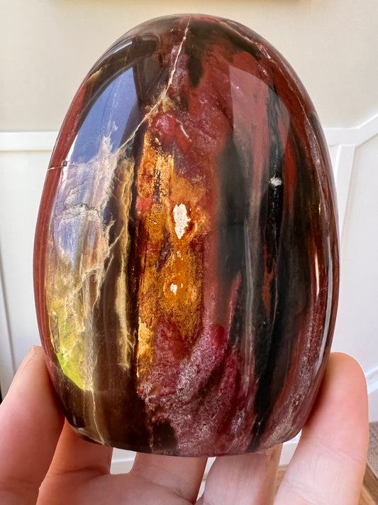 Petrified wood free form large (Madagascar)