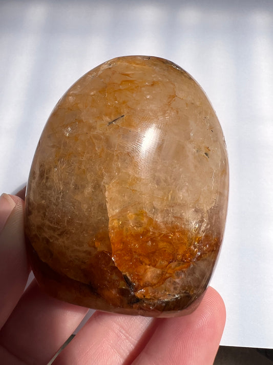 Golden healer Madagascar free form