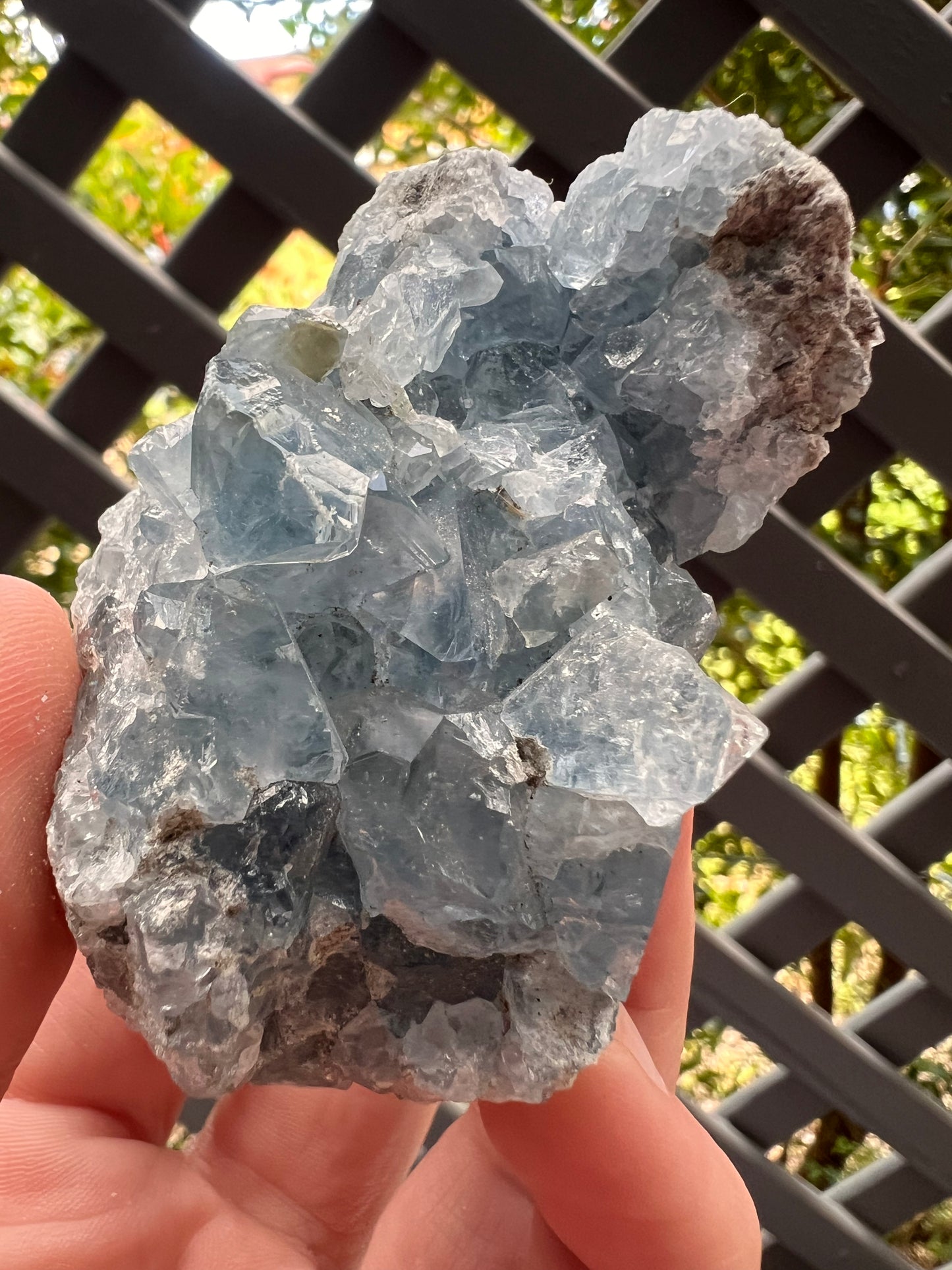 Celestite cluster