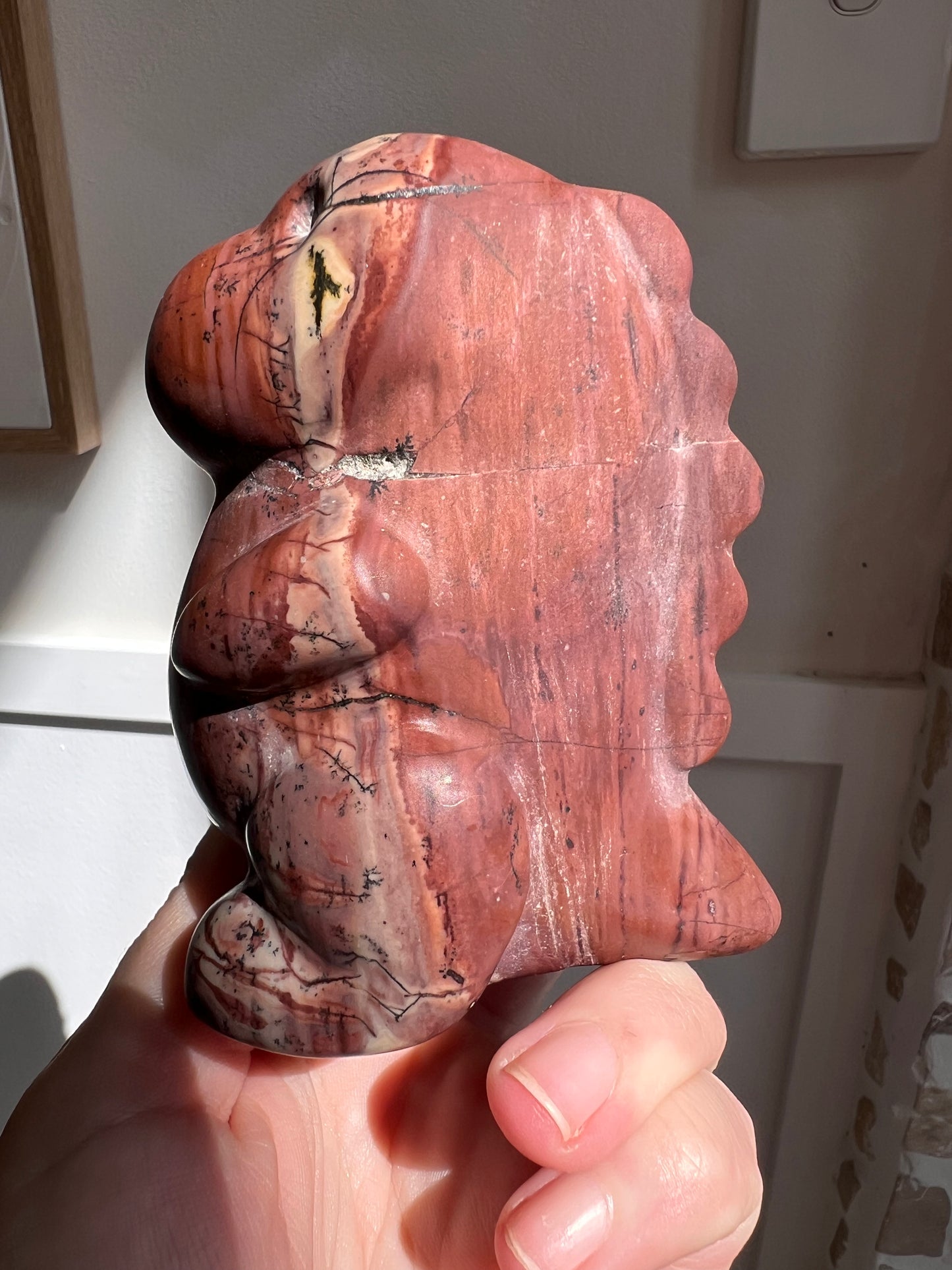 Picture jasper Dino with dendrites