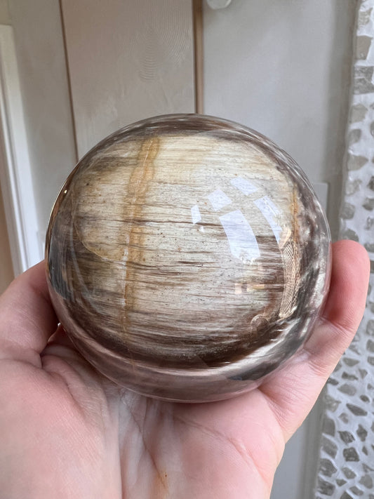 Large petrified wood sphere