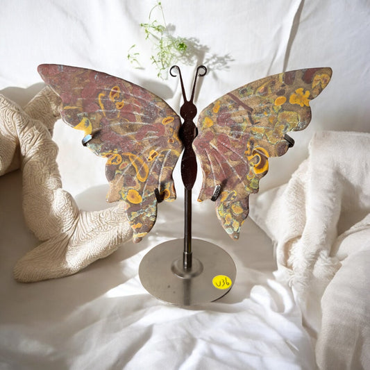 Jasper butterfly on stand (35D)