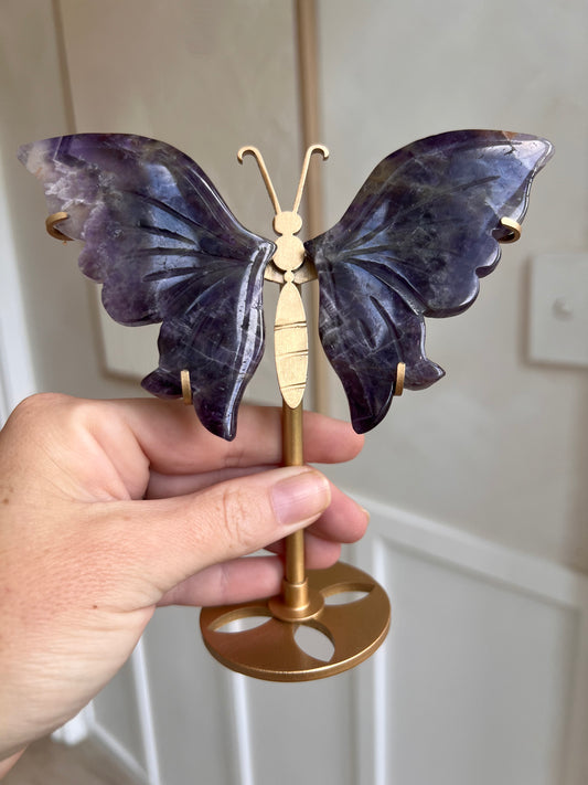 Amethyst butterfly wings