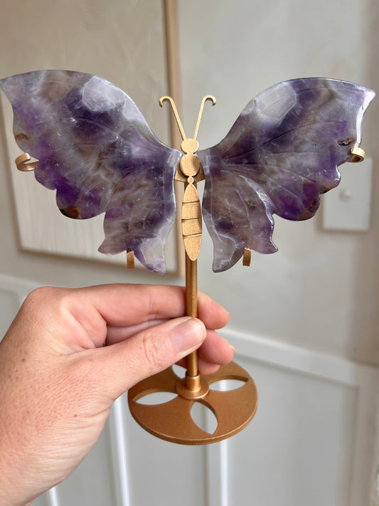 Amethyst butterfly wings larger
